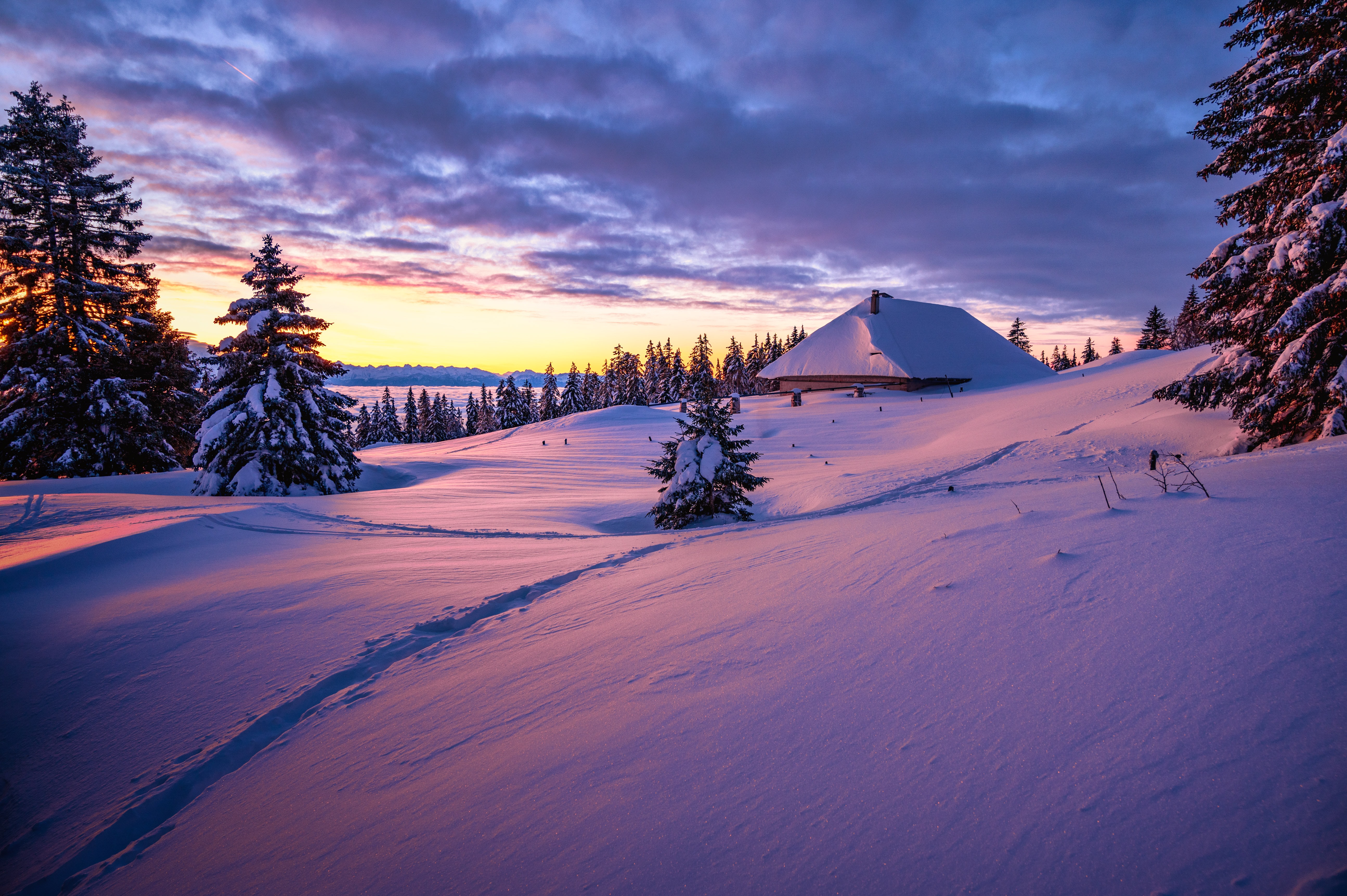Snow-Covered Landscape